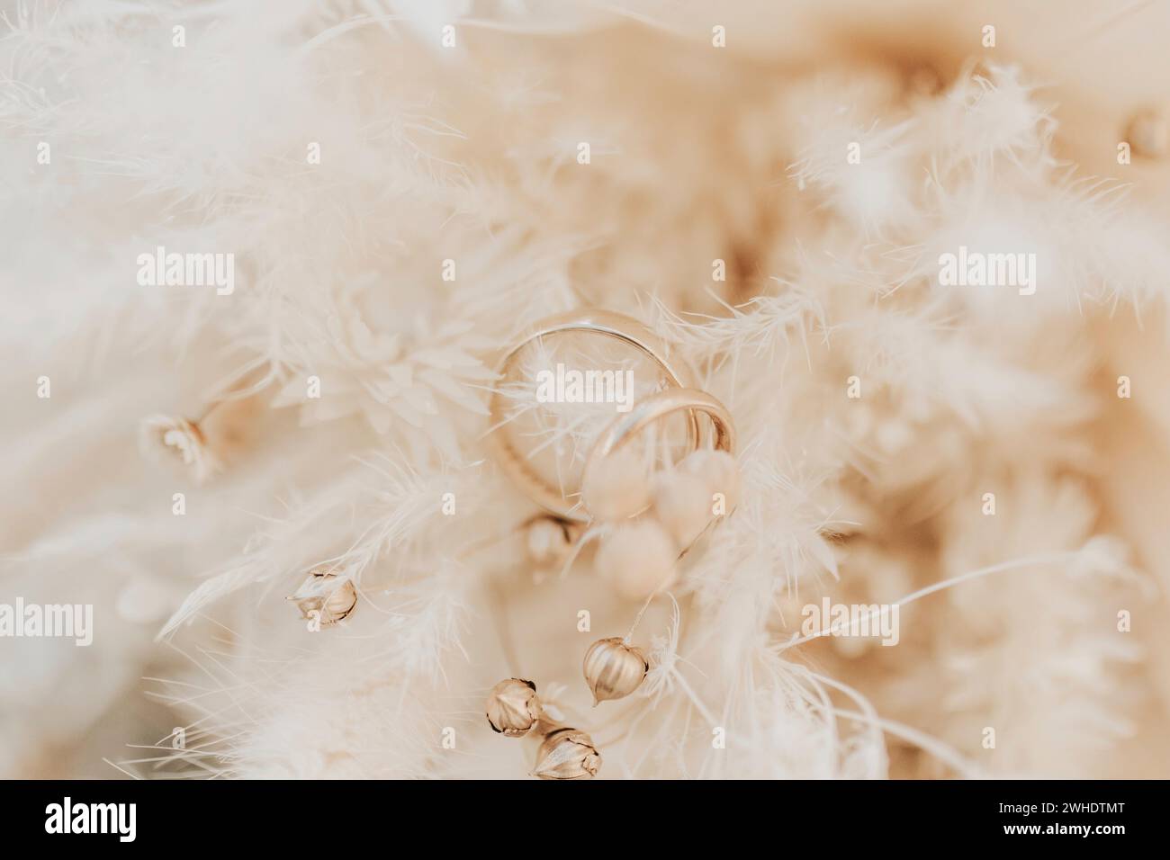 Wedding rings in ring box, boho wedding, dried flowers and pampas grass ...