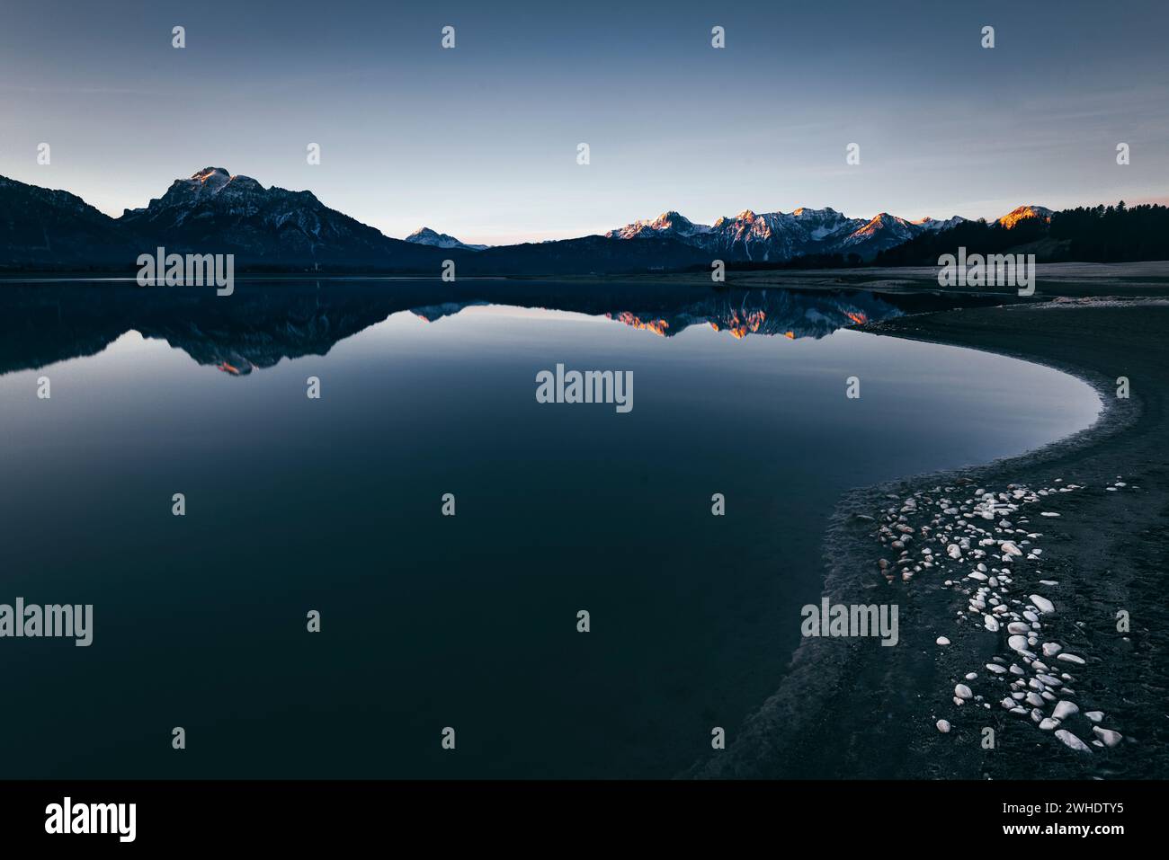 Alpine panorama with reflection in the partially drained, wintry Forggensee near Füssen in the Allgäu. Alpenglow in the first sunlight. In the foreground, stones on the frozen lake bed. Stock Photo