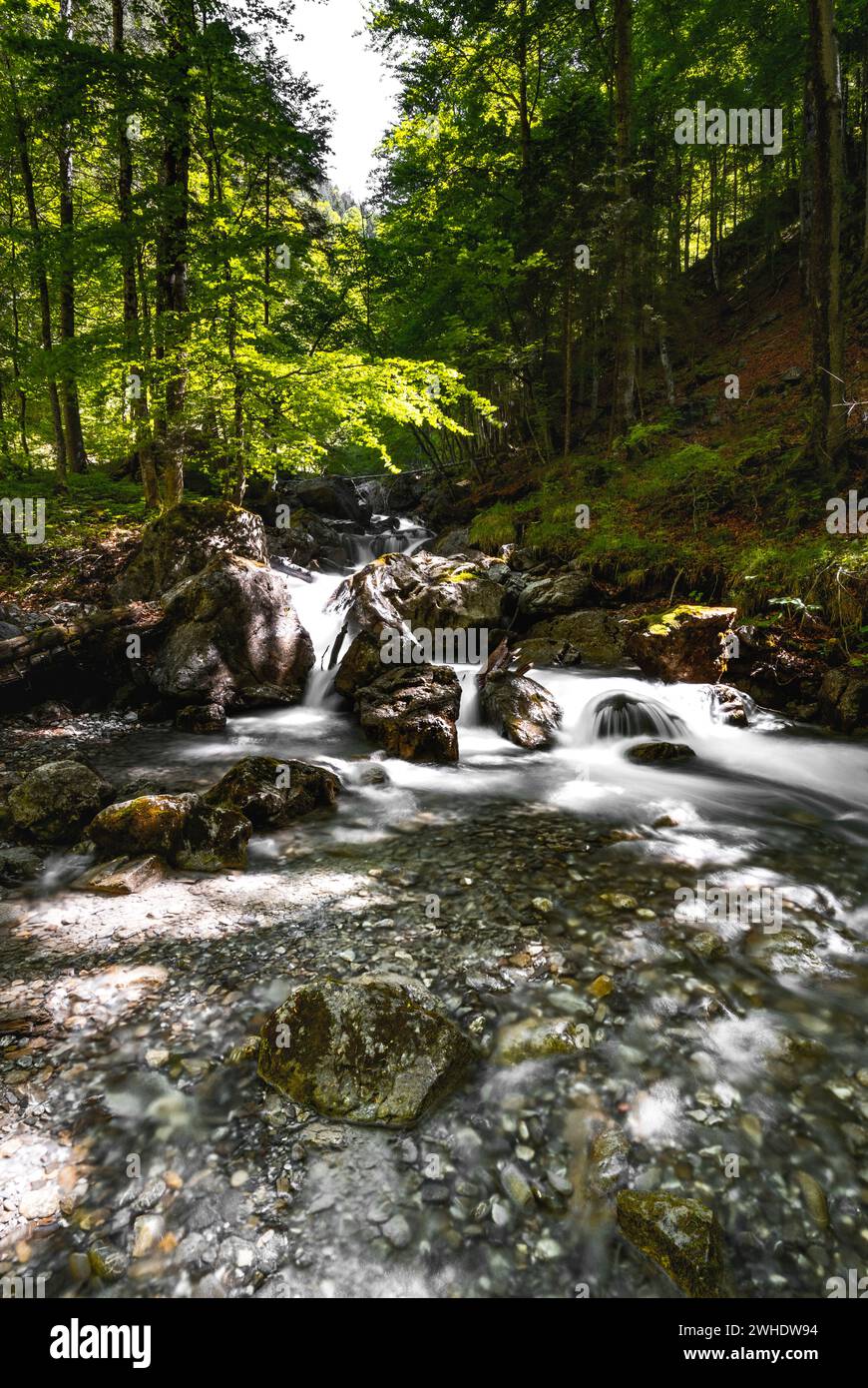 Watercourse with small waterfall in the Hölltobel in the Allgäu Alps, Oberstdorf, Oberallgäu, Allgäu, Bavaria, Germany, long exposure. Stock Photo