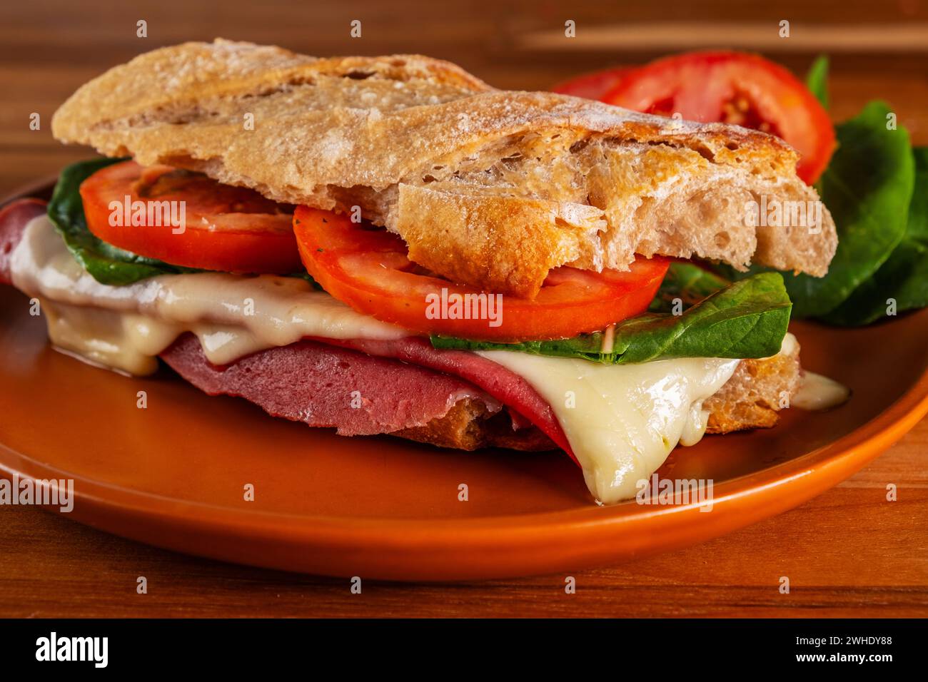 artisanal baguette sandwich with melted mozzarella, mortadella, arugula