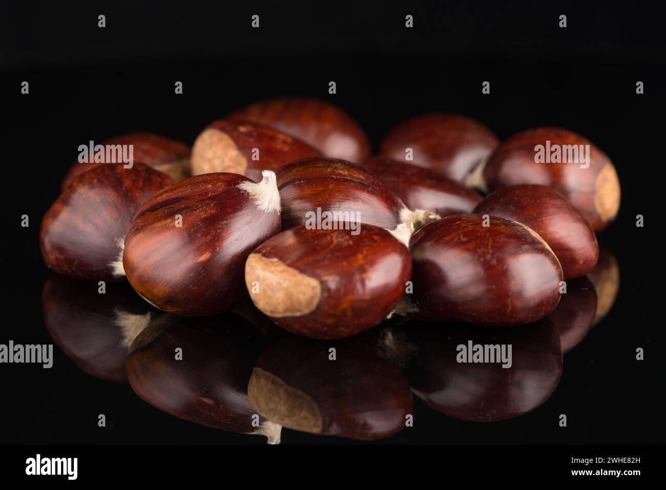 Chestnut on neck hi-res stock photography and images - Alamy