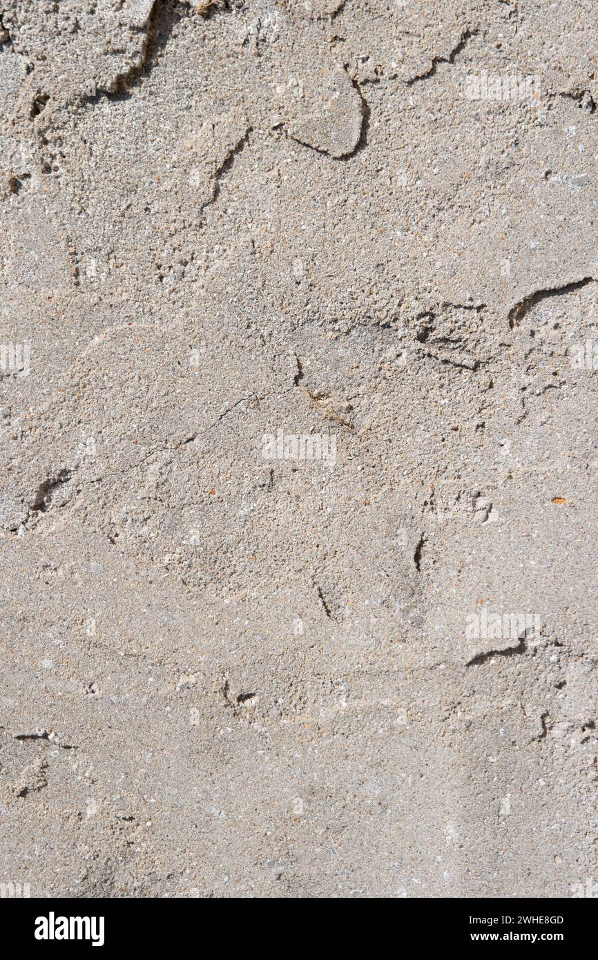 White stucco wall Stock Photo - Alamy