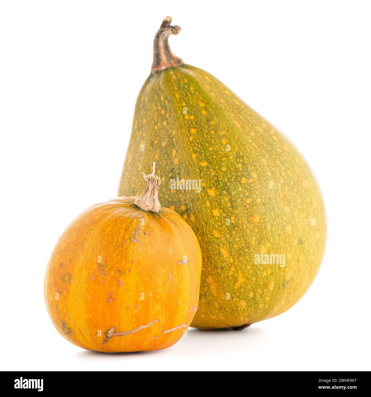 Close up decorative pumpkins hi-res stock photography and images - Alamy