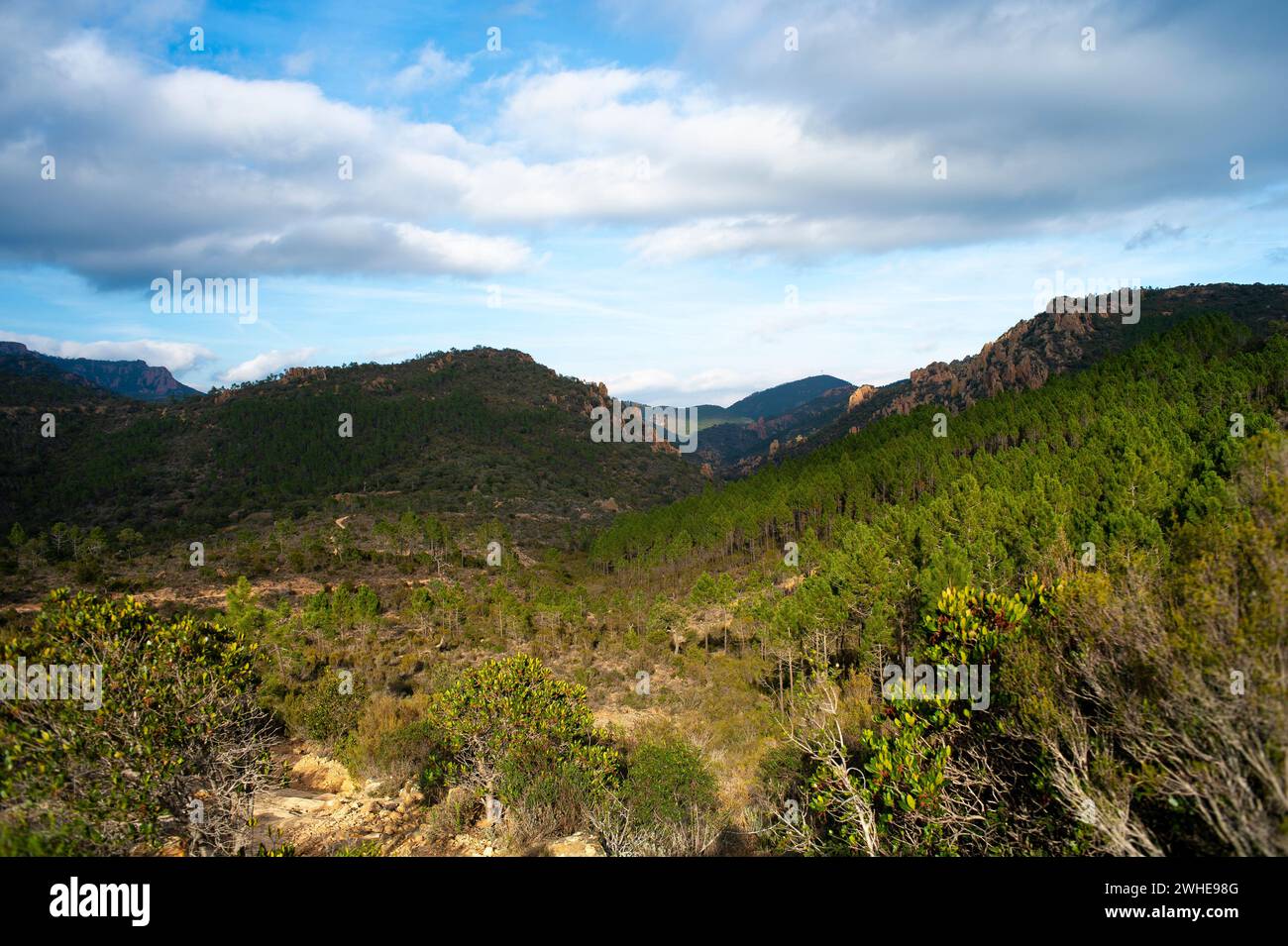 Landscape in the south of France. The Esterel dominates the Mediterranean Sea above Saint-Raphaël. Stock Photo