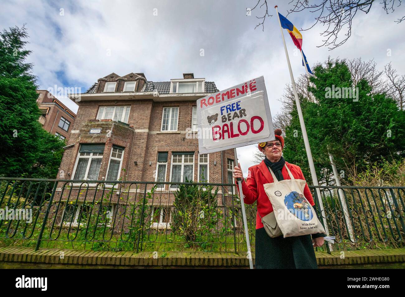 An activists from the ‘World Animal Protection NL’ stands outside the Romanian embassy  with a placard that says ' free bear Baloo'. The Hague, bringing to attention the plight of ‘Baloo’ the red bear. Caged for the past 23 years at the Straja Ski and Snowboarding Resort in Hunedoara, Romania. ‘Baloo’ the red bear is held as a mascot and fed cornflakes, candy, lemonade and even given alcohol to drink and at times taunted by children with sticks. His situation was publicized recently by Dutch TV and Television presenter Floortje Dessing. ‘World Animal Protection NL’, handed a petition with 178, Stock Photo