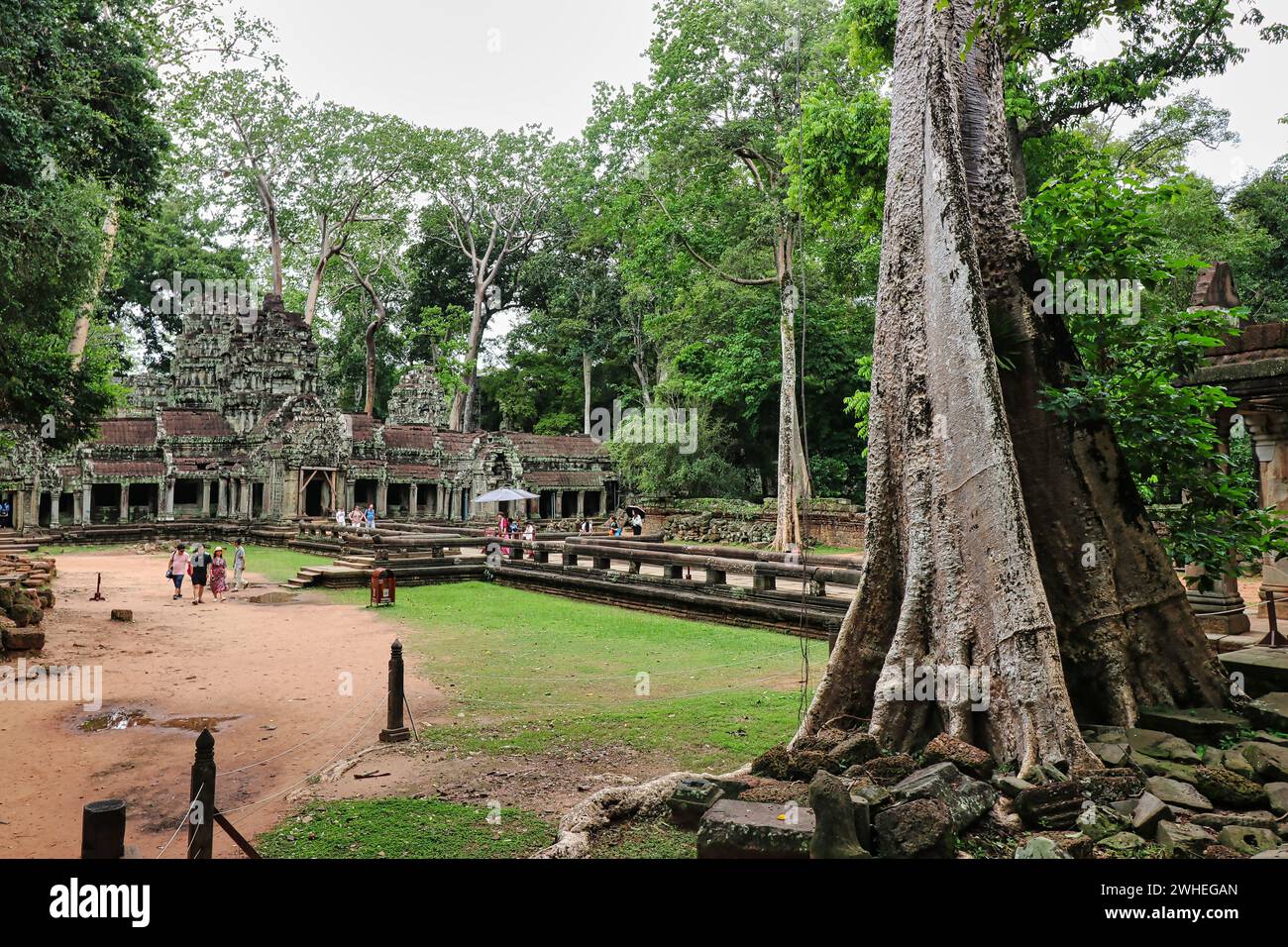 View of Ta Phrom temple outer grounds, famous as the Tree root temple in Tomb raider movie starring Angelina Jolie near Angkor wat, Siem Reap,Cambodia Stock Photo