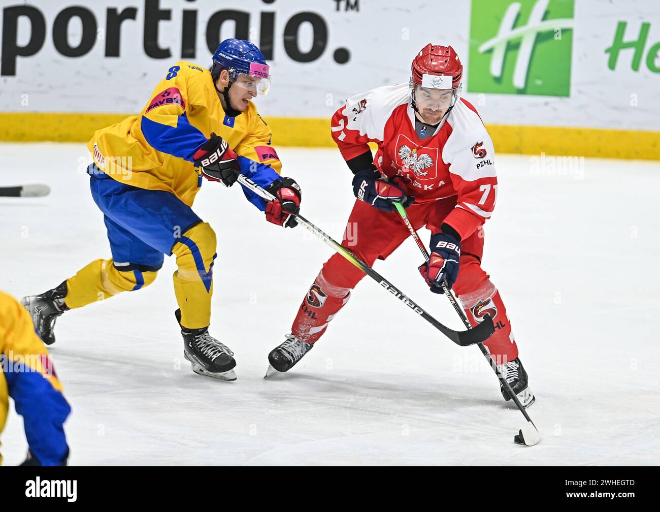 2024.02.09 Sosnowiec Hokej na lodzie Reprezentacja Mezczyzn Kadra IIHF