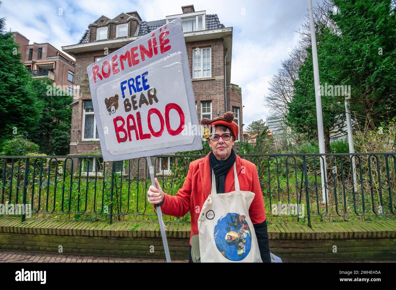 The Hague, Netherlands. 9th Feb, 2024. An activists from the ''˜World Animal Protection NL' stands outside the Romanian embassy with a placard that says ' free bear Baloo'. The Hague, bringing to attention the plight of ''˜Baloo' the red bear. Caged for the past 23 years at the Straja Ski and Snowboarding Resort in Hunedoara, Romania. ''˜Baloo' the red bear is held as a mascot and fed cornflakes, candy, lemonade and even given alcohol to drink and at times taunted by children with sticks. His situation was publicized recently by Dutch TV and Television presenter Floortje Dessing. ''˜W Stock Photo