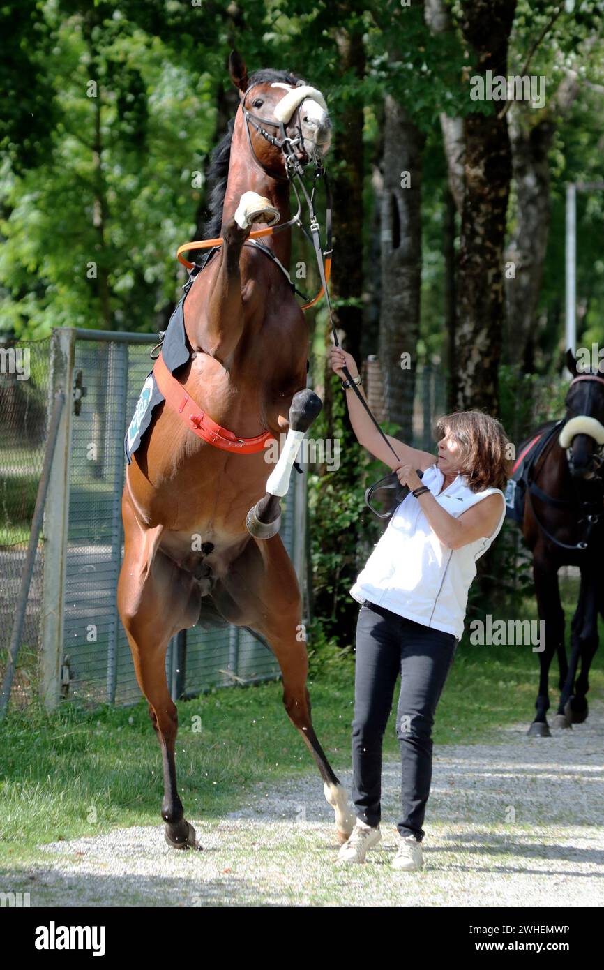 Reluctant model hires stock photography and images Alamy