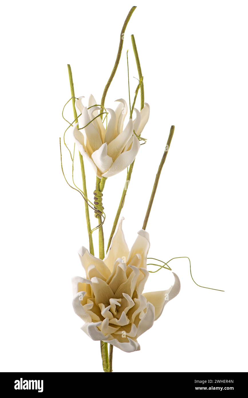 Artificial gardenia flower Stock Photo