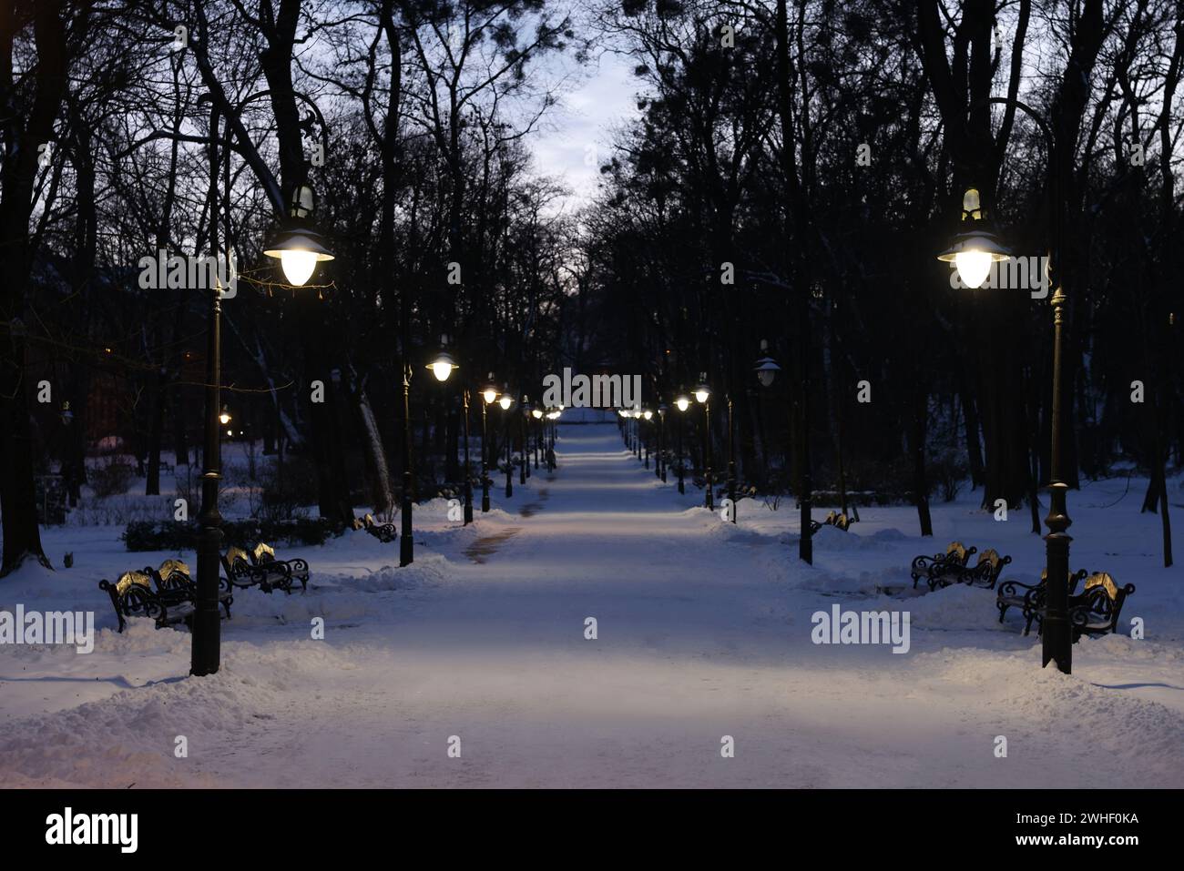 Trees, street lamps and pathway covered with snow in evening park Stock ...