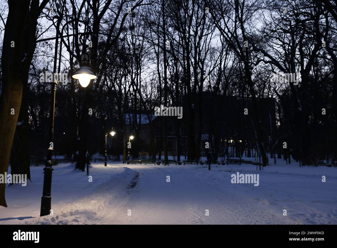 Trees, street lamps and pathway covered with snow in evening park Stock ...
