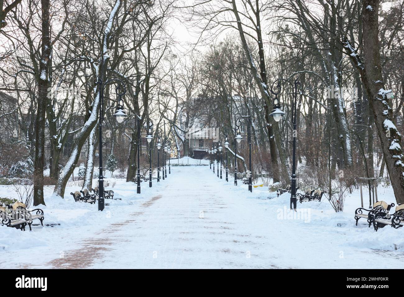 Trees, street lamps and pathway covered with snow in winter park Stock ...