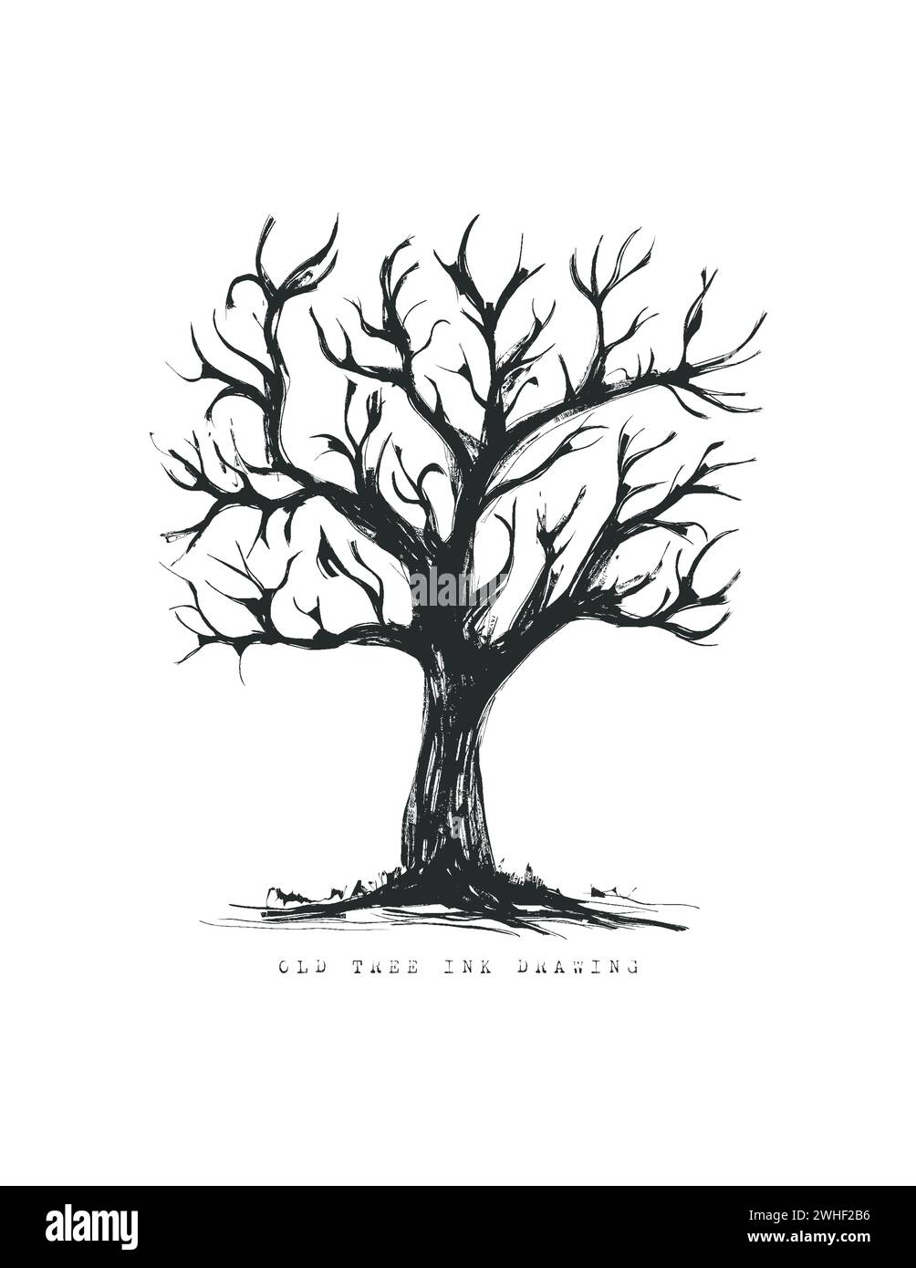 dead oak tree drawing