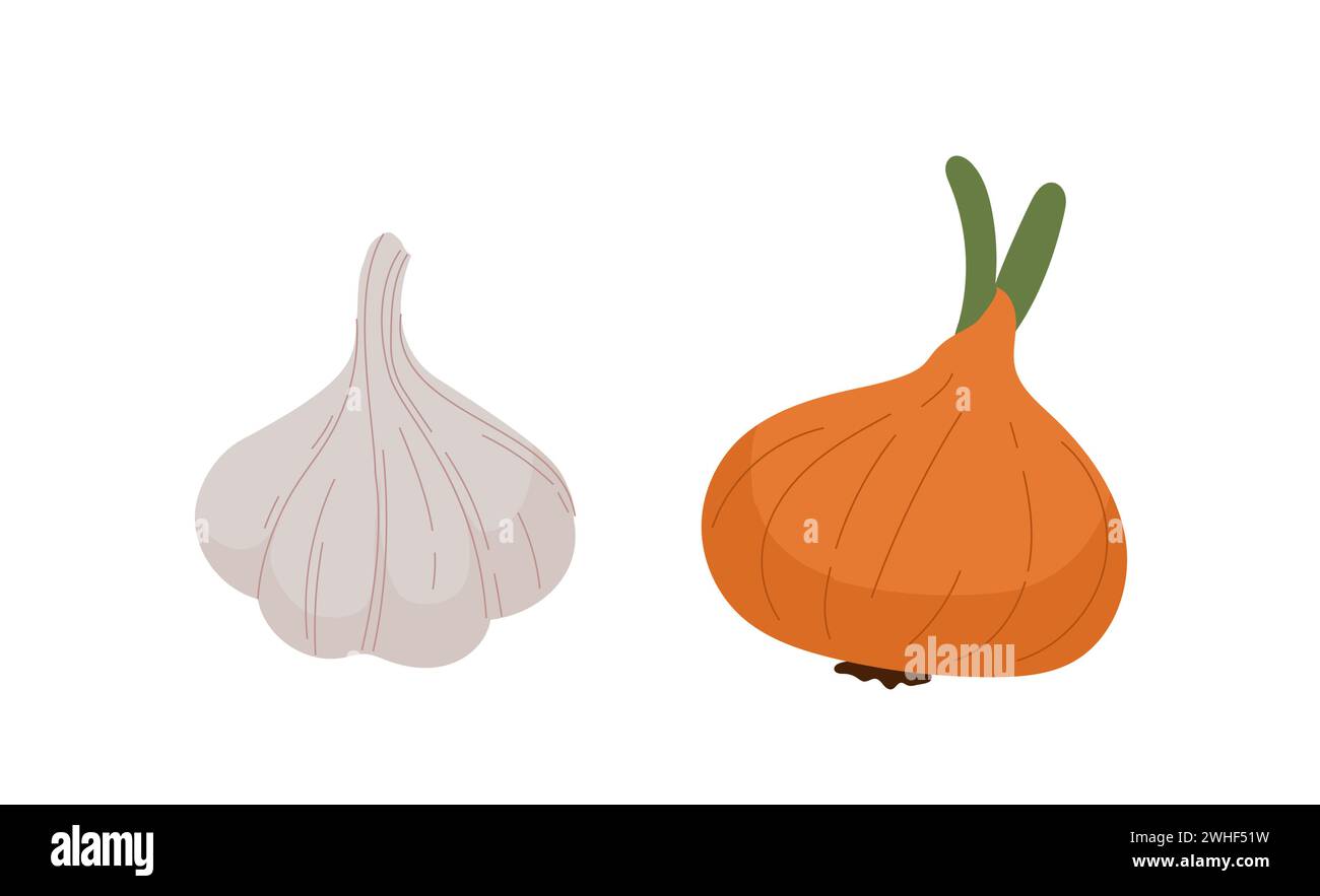 Set of vegetables vector Stock Vector Image & Art - Alamy