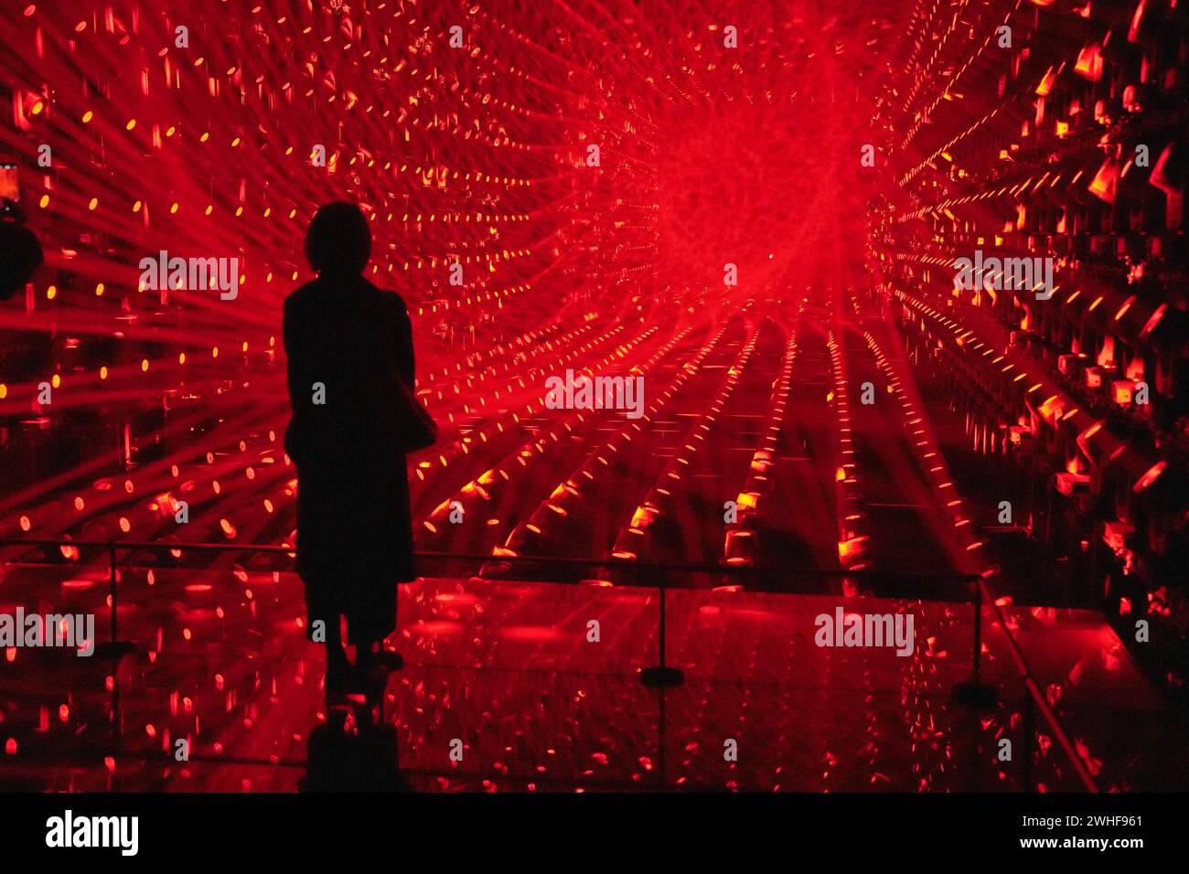 Tokyo, Japan. 1st Feb, 2024. A visitor attends a preview of TeamLab ...