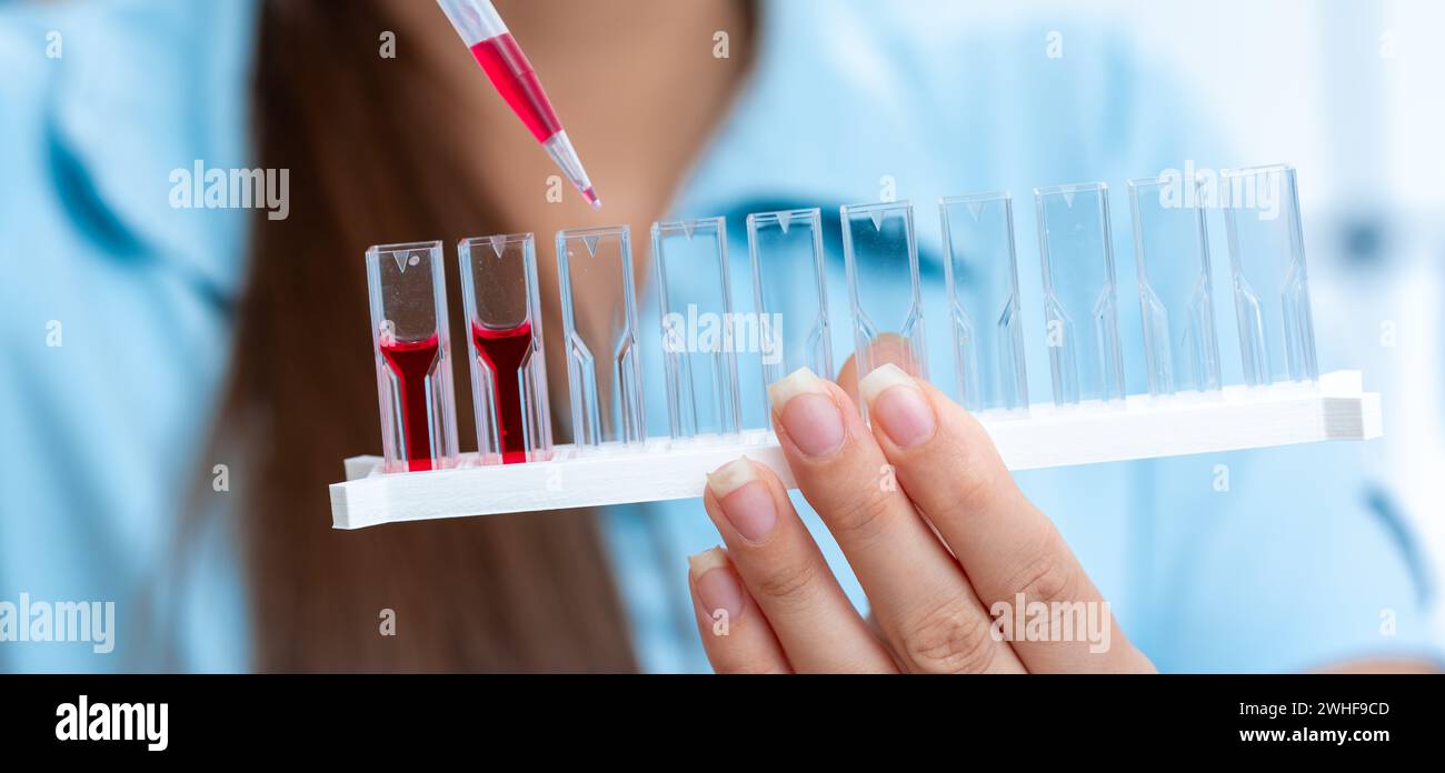 Scientist pipetting into cuvettes Stock Photo