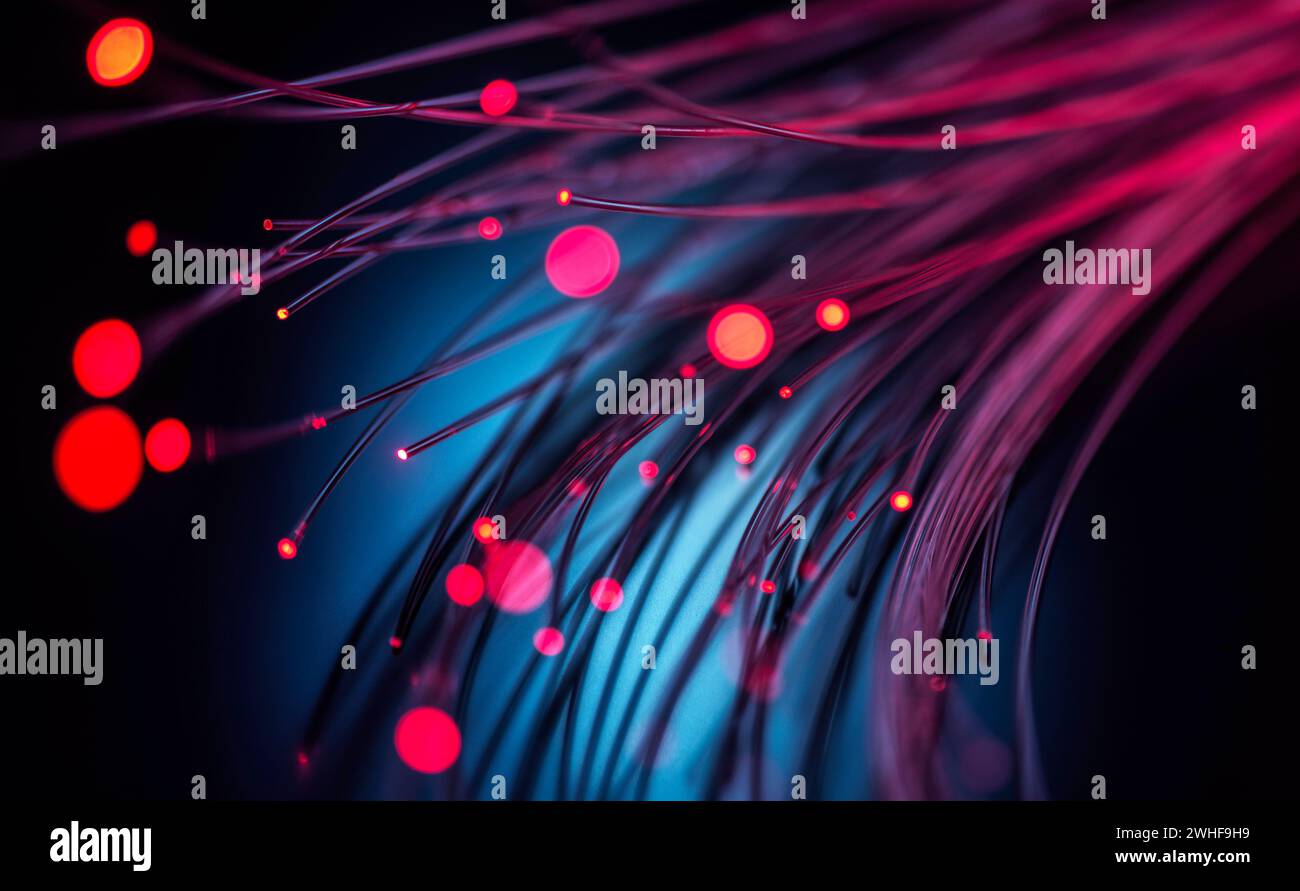 Optical fibres Stock Photo