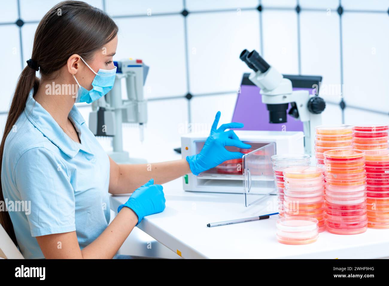 Scientist removing petri dish from incubator Stock Photo