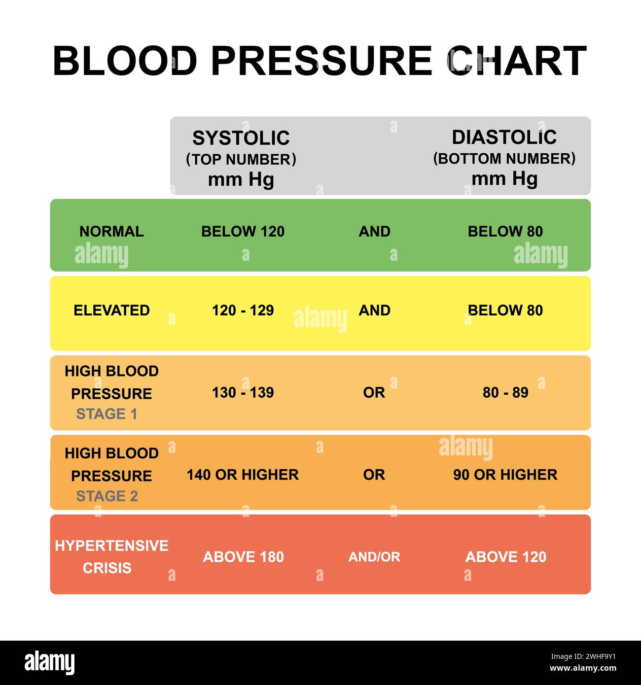 Blood pressure chart, illustration Stock Photo