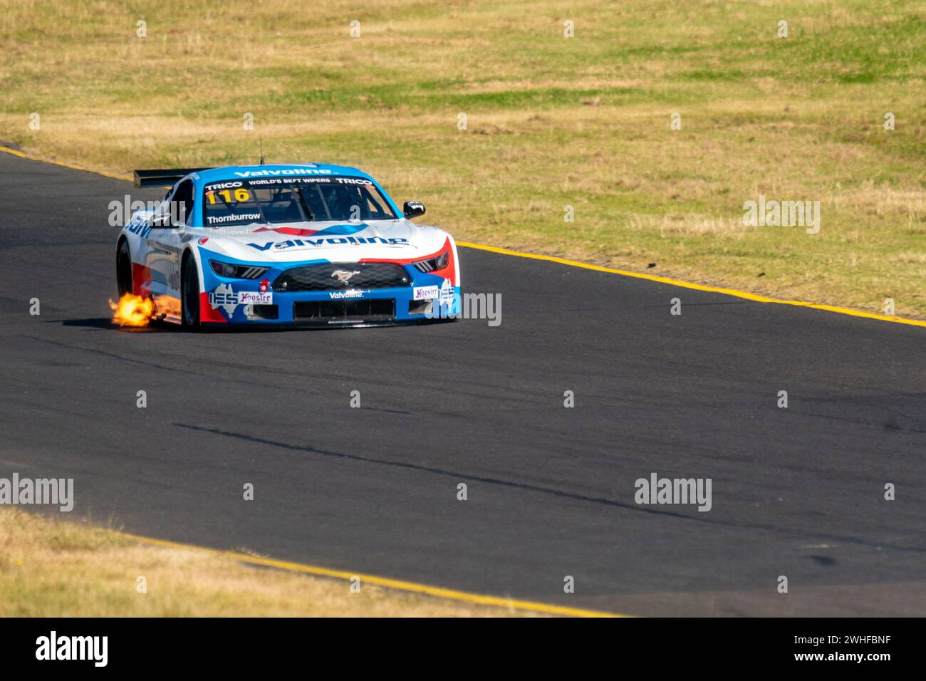 Sandown Park, Australia. 10 February, 2024. Edan Thornburrow (116