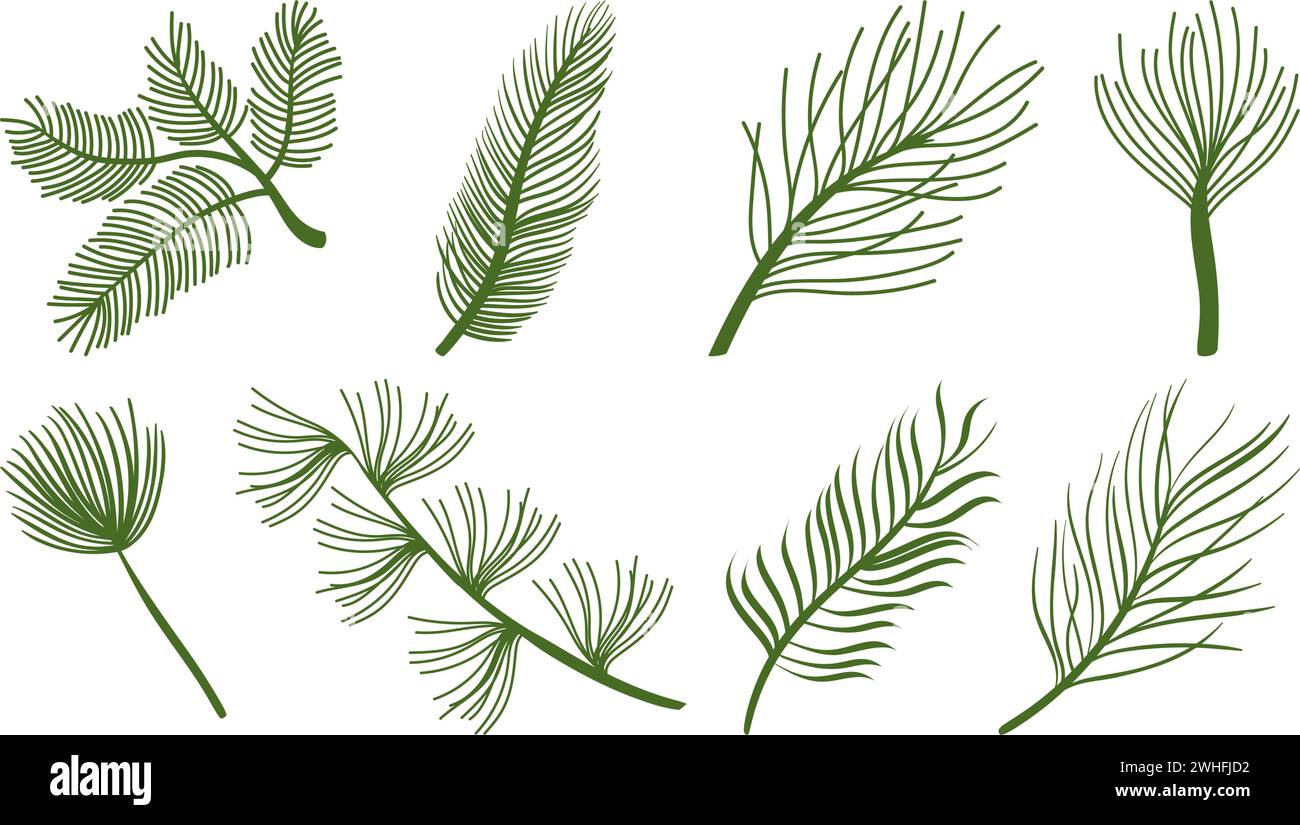 flora and palm leaves Stock Vector Image & Art - Alamy