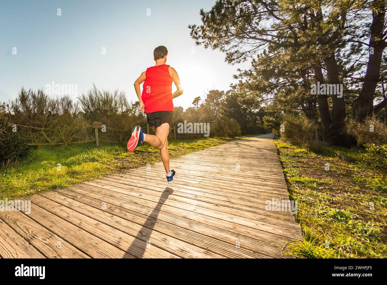 Athlete young man running hi-res stock photography and images - Alamy