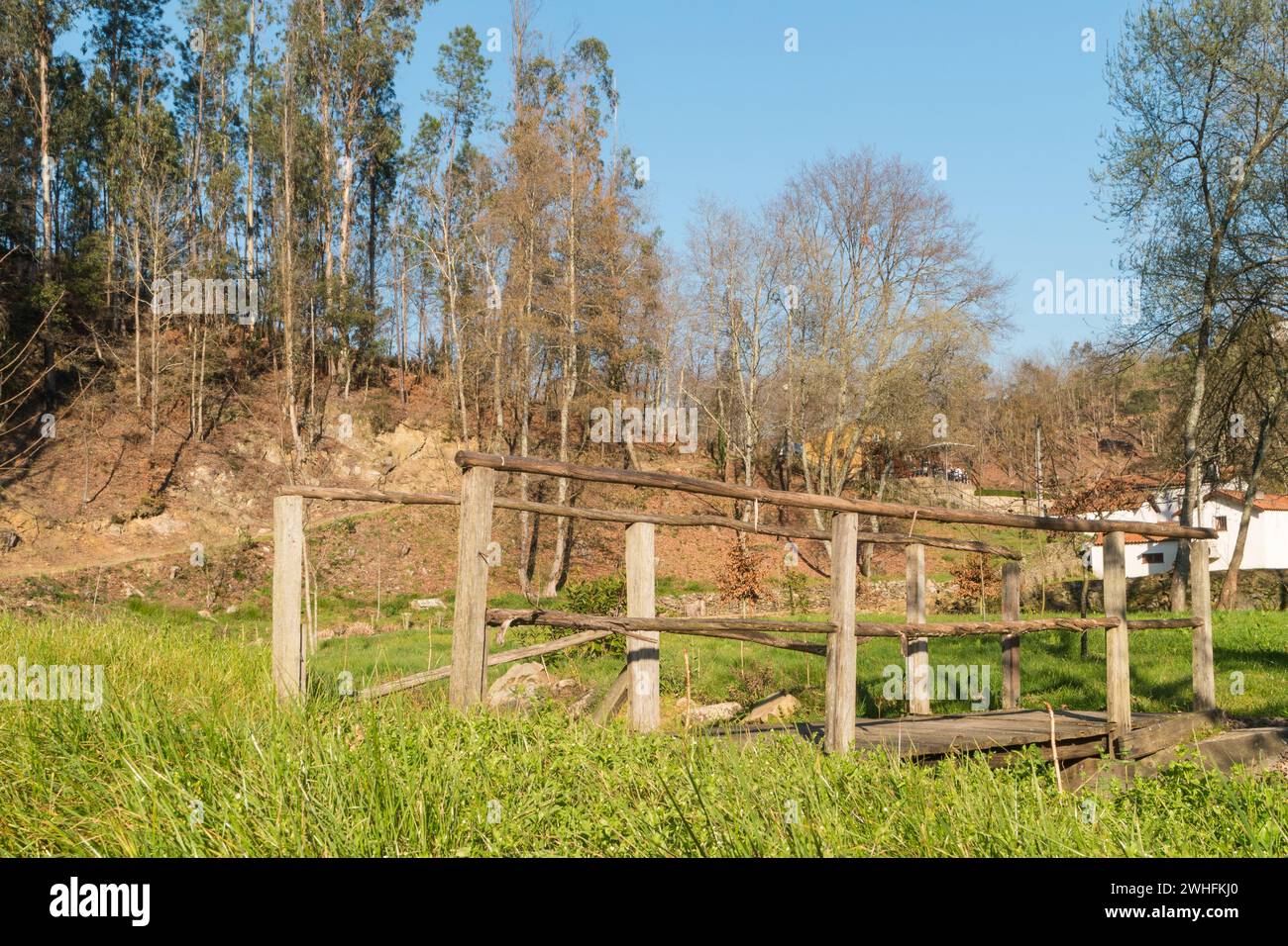Forest pedestrian bridge hi-res stock photography and images - Alamy