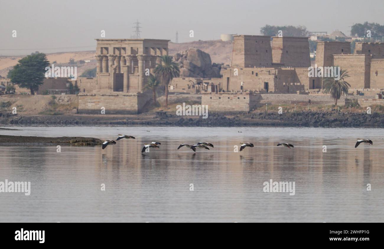 Ancient egyptian Philae temple on Agilika island in Aswan, Egypt Stock Photo