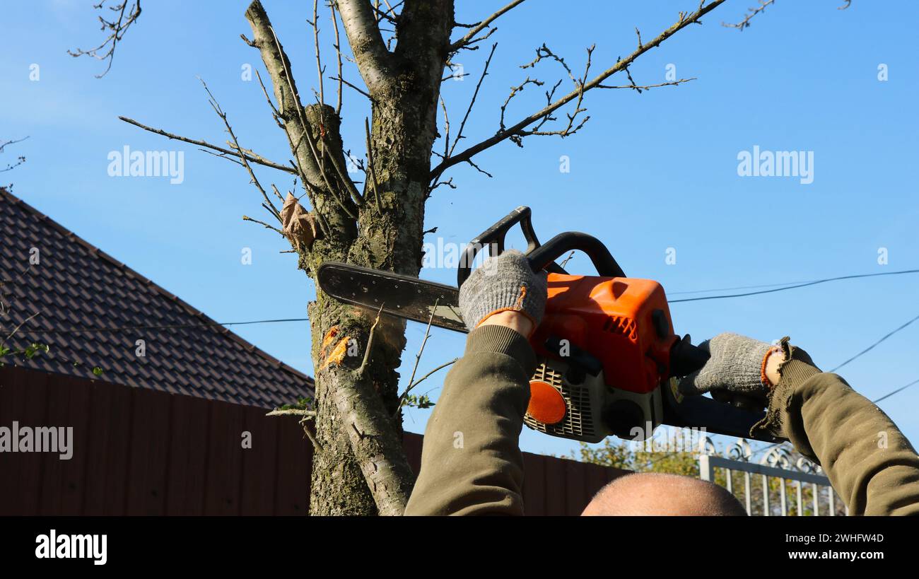 a man saws the branches of a tree with a chainsaw holding it above his ...