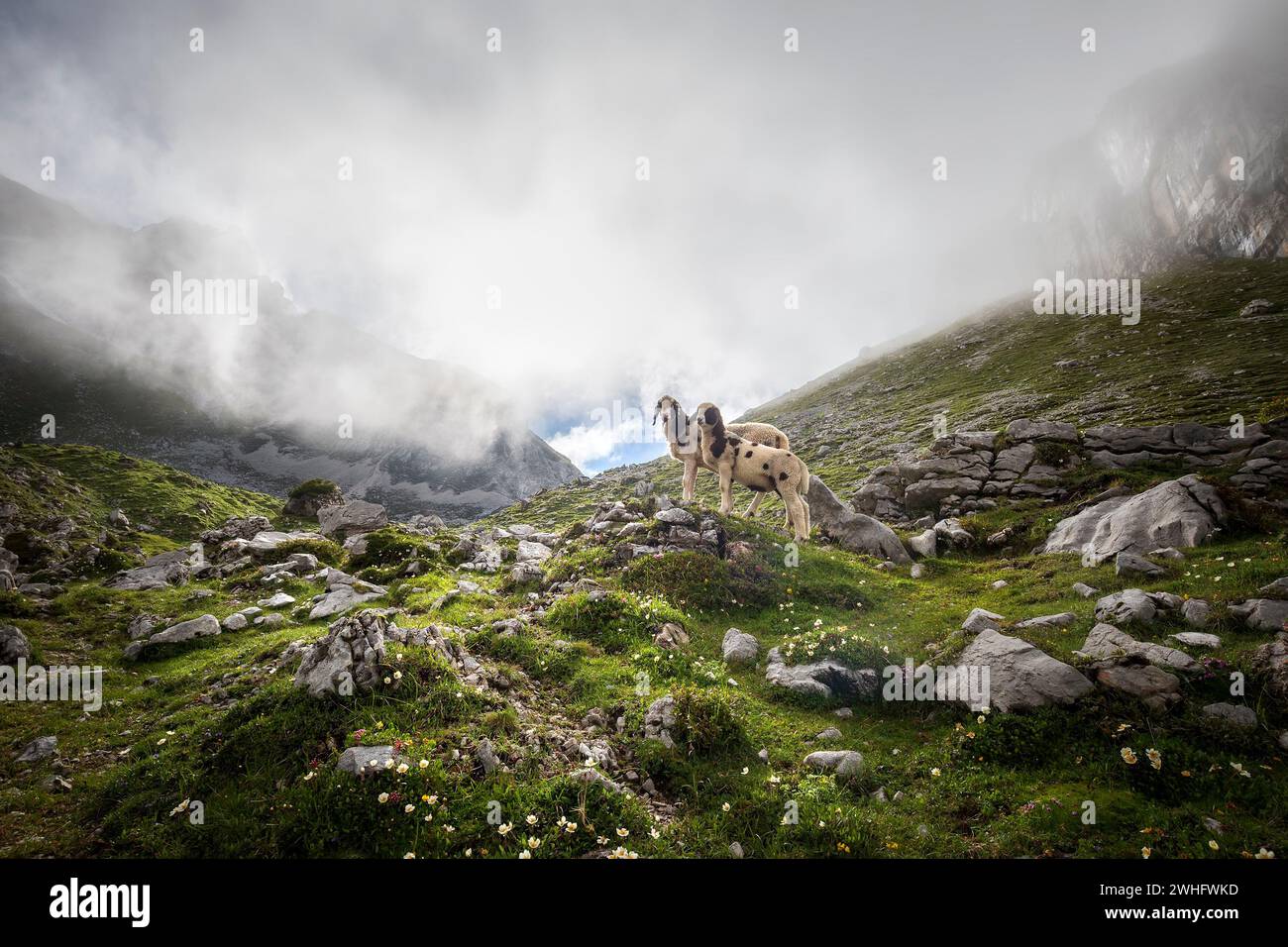 Two ship in rocky mountains during foggy evening Stock Photo - Alamy
