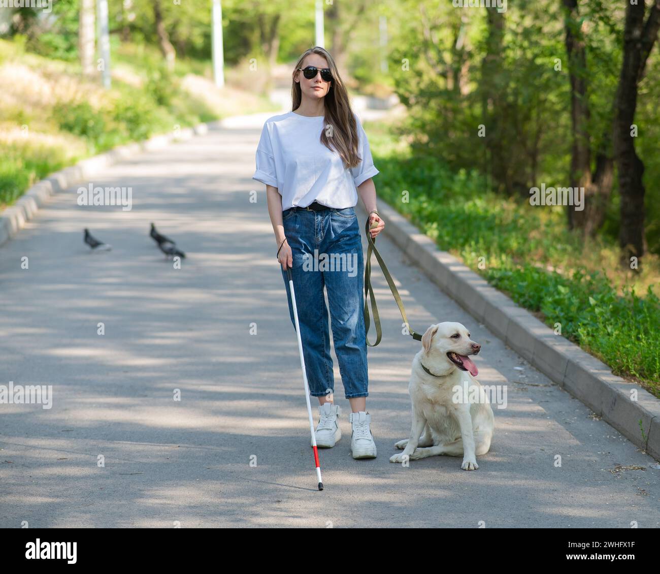 Blind woman walking with guide dog in the park Stock Photo - Alamy