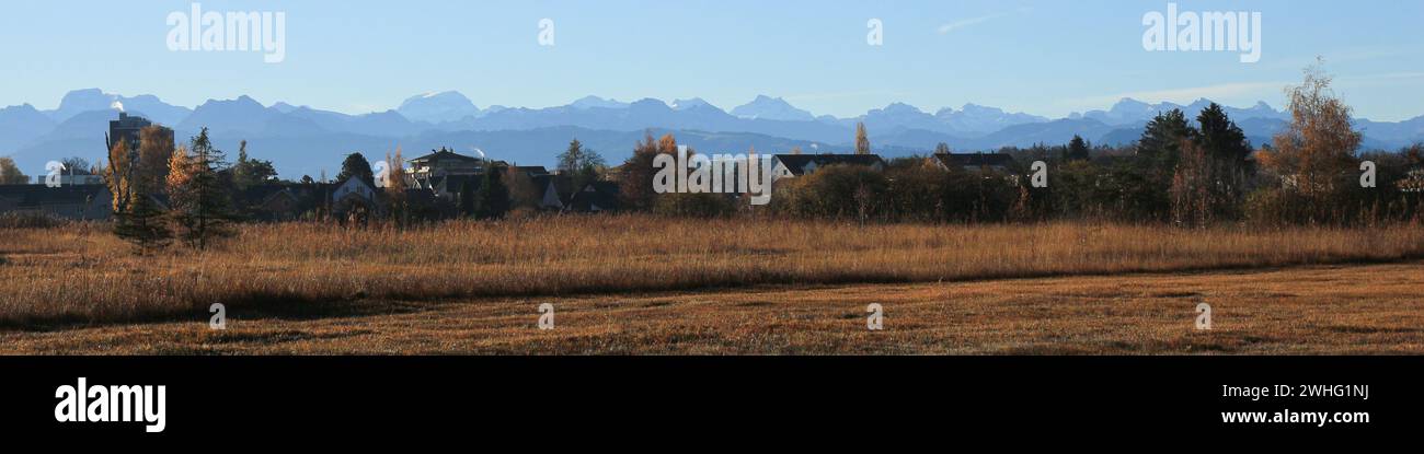 Reed, houses of Wetzikon and mountain range. Stock Photo
