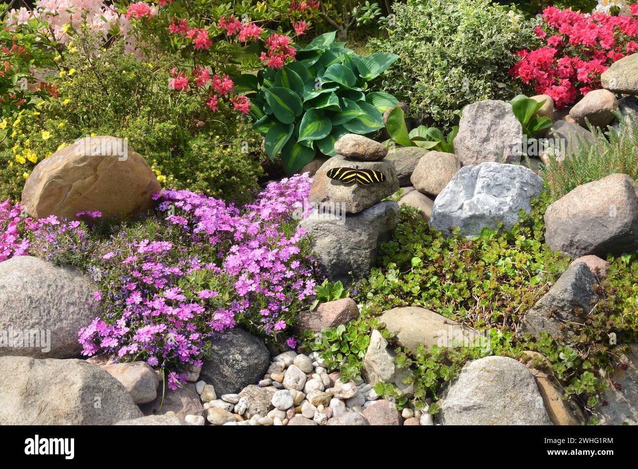 Rock garden with butterfly Stock Photo - Alamy