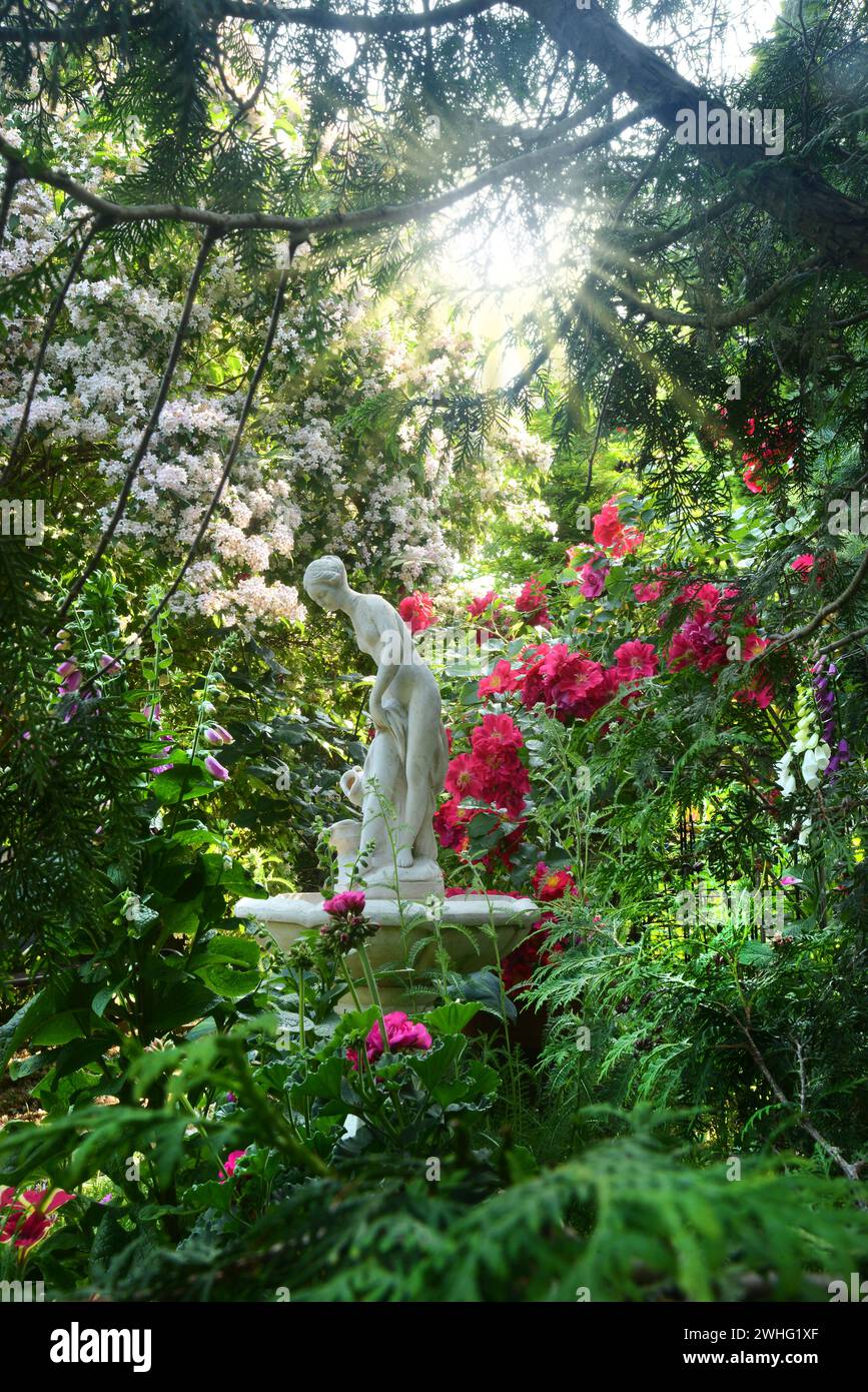 Delightful garden with roses Stock Photo