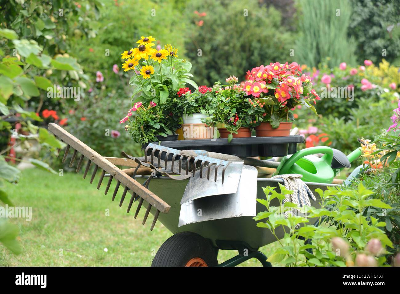 Wheelbarrow with garden tools Stock Photo