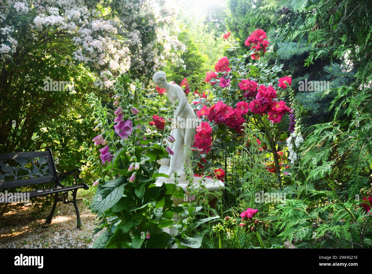 Garden with fountain and roses Stock Photo