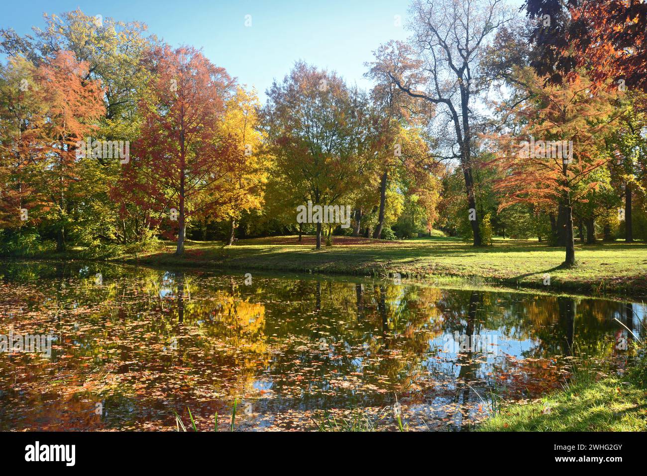 Autumn landscapa at the lake Stock Photo