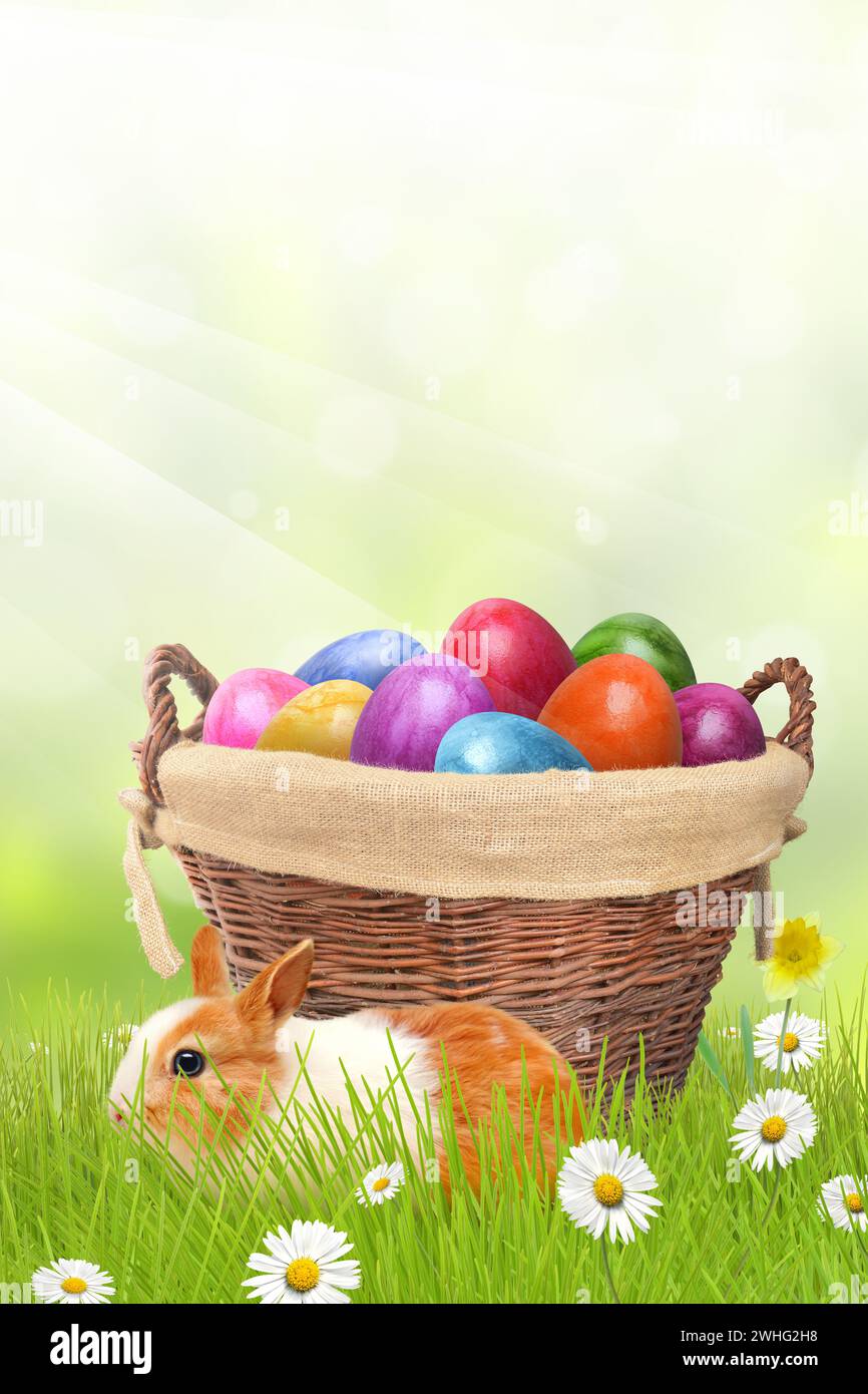 Egg basket and Easter bunny Stock Photo