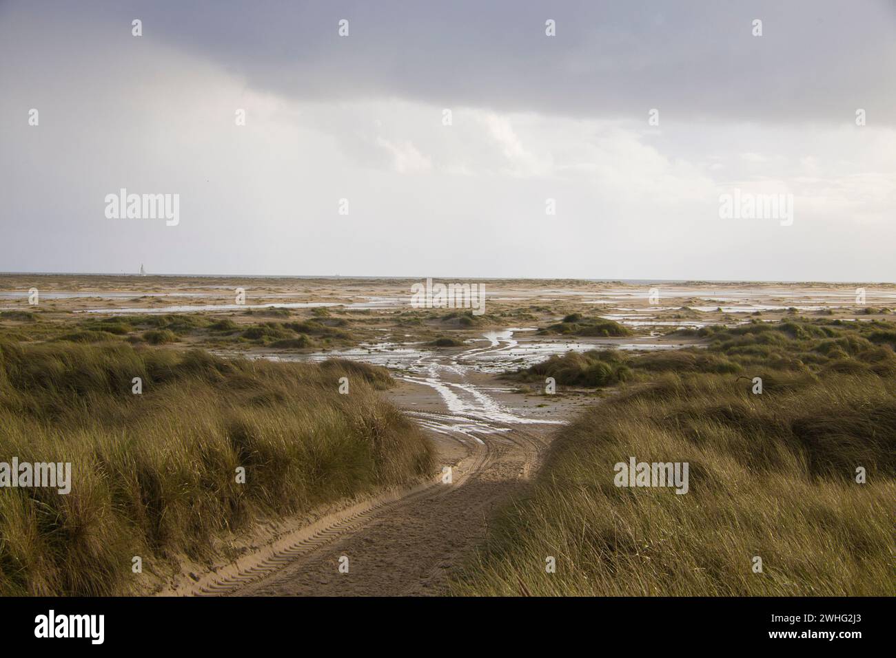 Dunes at the Beach of Amrum Stock Photo - Alamy