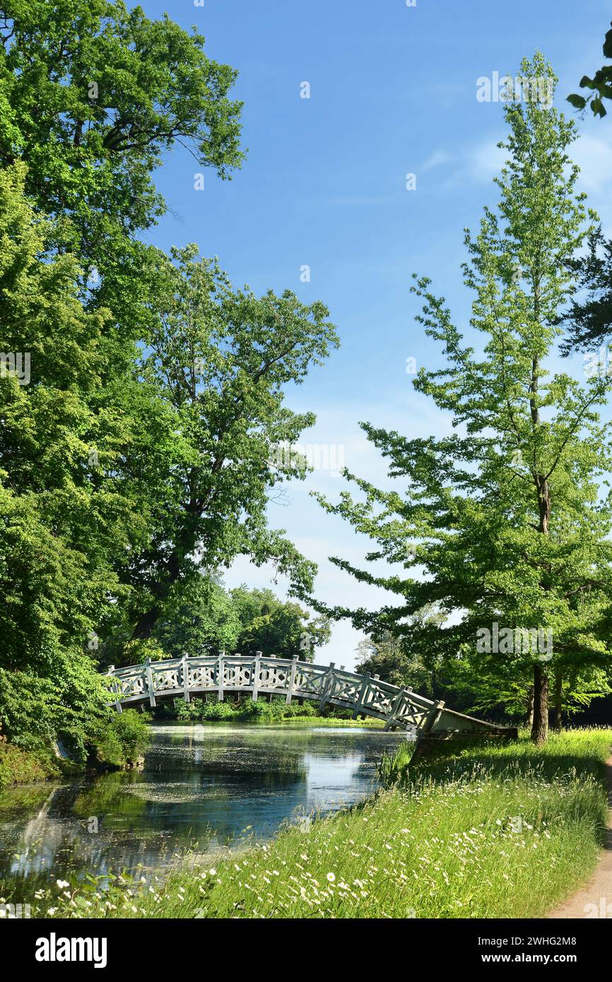 Park landscape with arch bridge Stock Photo