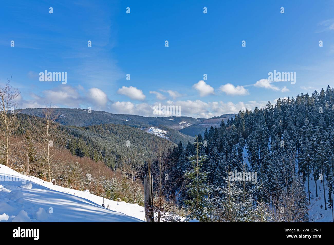 View to Kickelhahn mountain in the thuringian forest near Manebach in winter Stock Photo