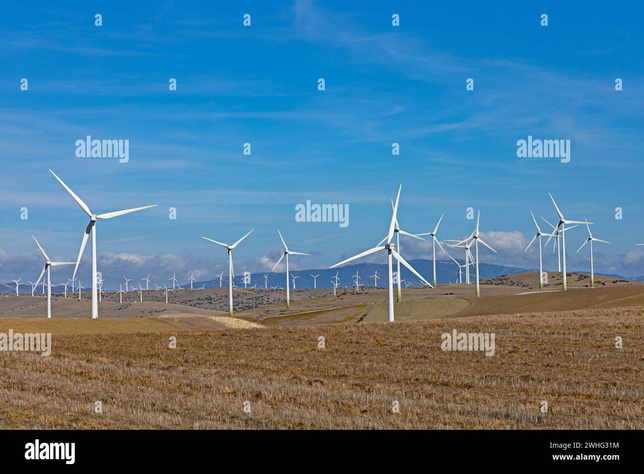 Wind turbine park near Zahara de los Atunes in Andalucia Stock Photo