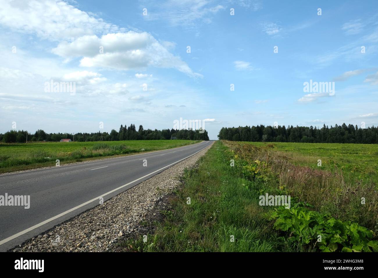 Empty rural asphalt road with road markings through the fields to the skyline Stock Photo