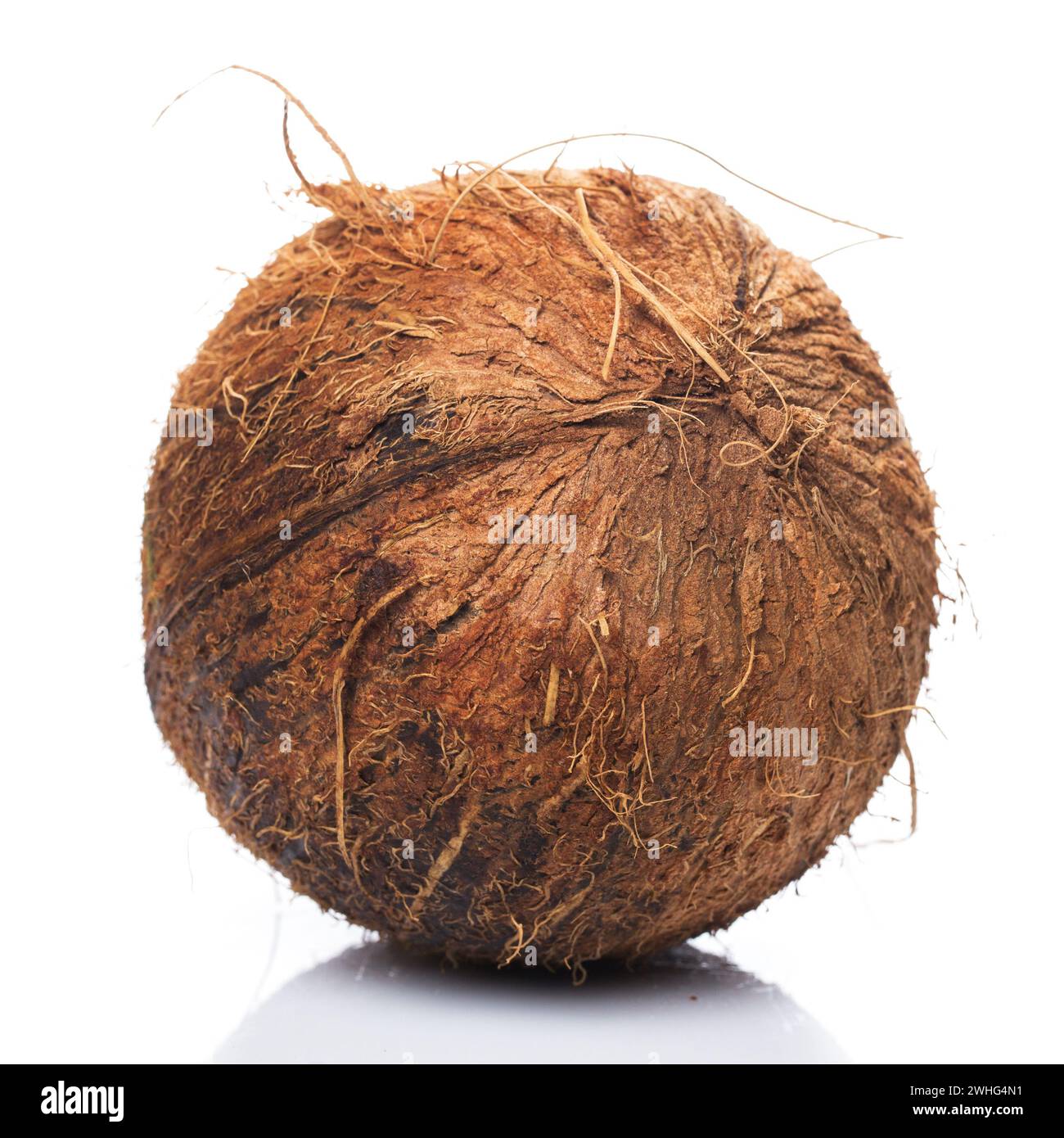 Fresh tropical fruits coconuts on white background Stock Photo