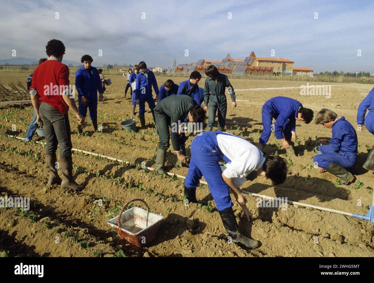 french agriculture school students learning to plant salads on ground south of france theza pyrenees orientales Stock Photo