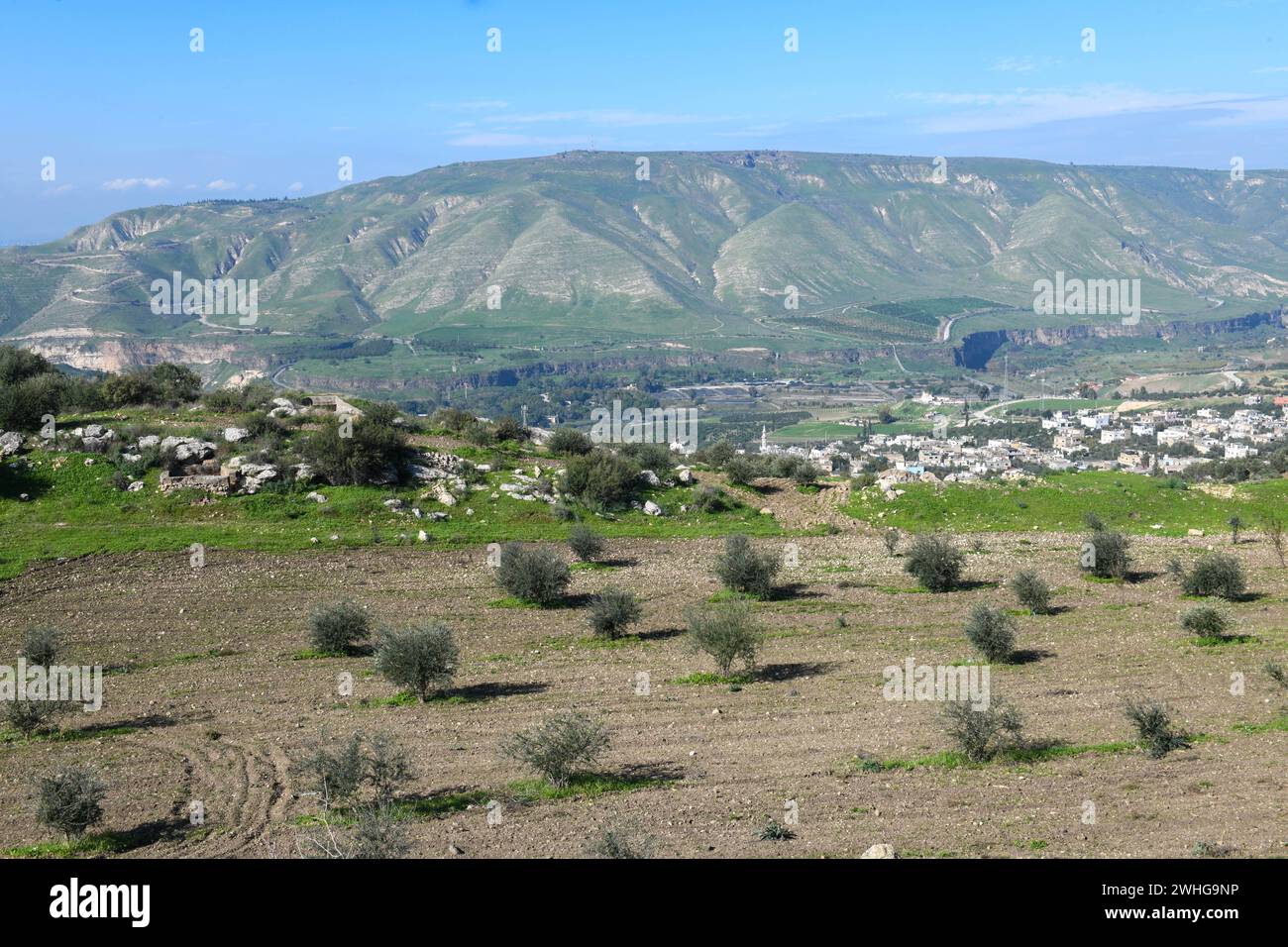 Golan Green golan heights hi-res stock photography and images - Alamy