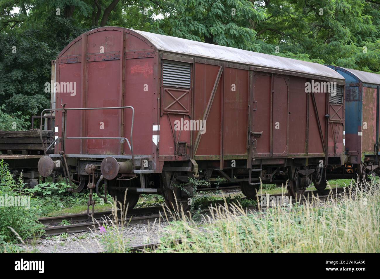 Old rusty freight wagon on the siding on overgrown railroad tracks, transportation concept, copy space Stock Photo