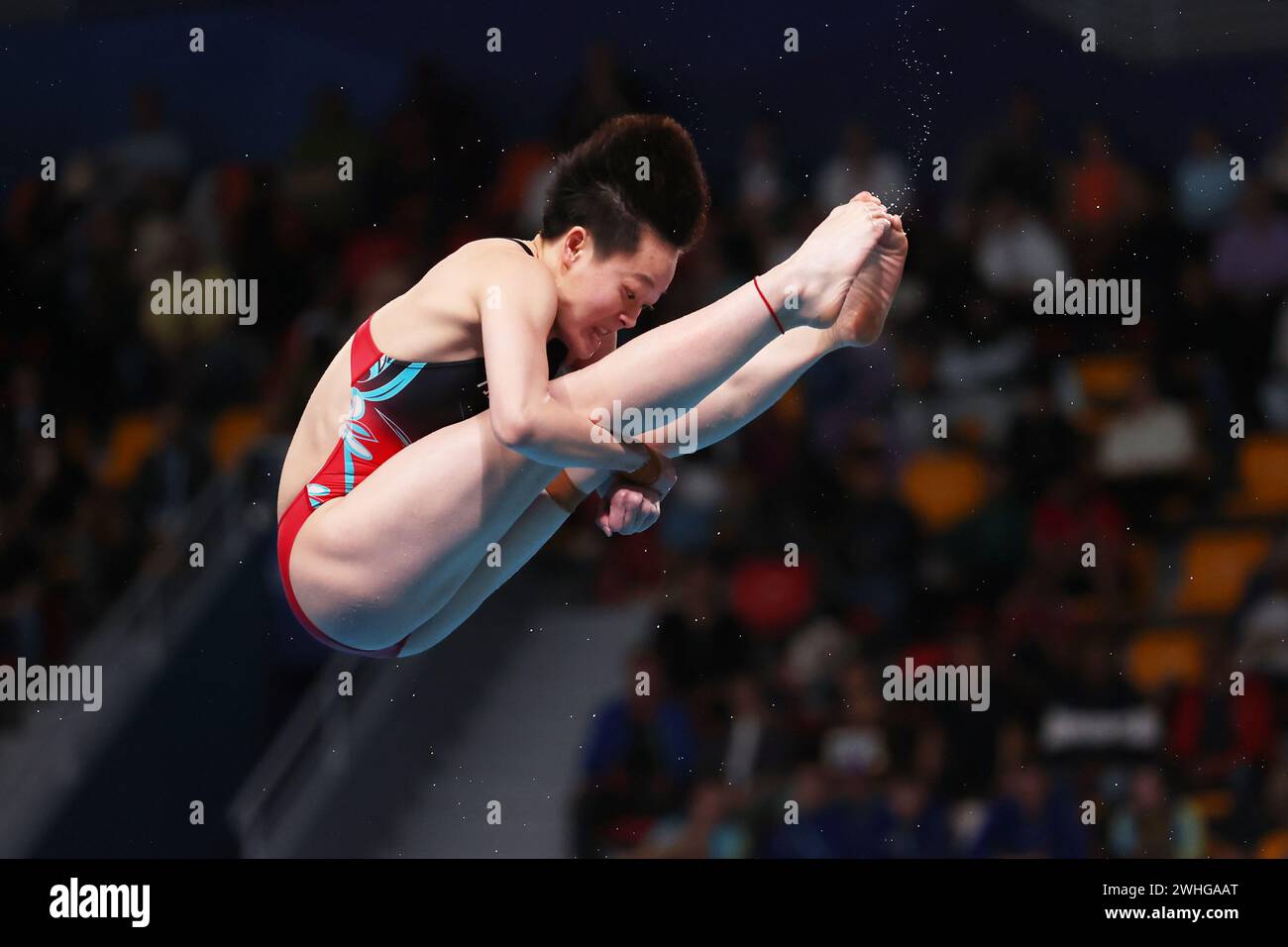Doha, Qatar. 9th Feb, 2024. Yiwen Chen (CHN) Diving : World Aquatics ...
