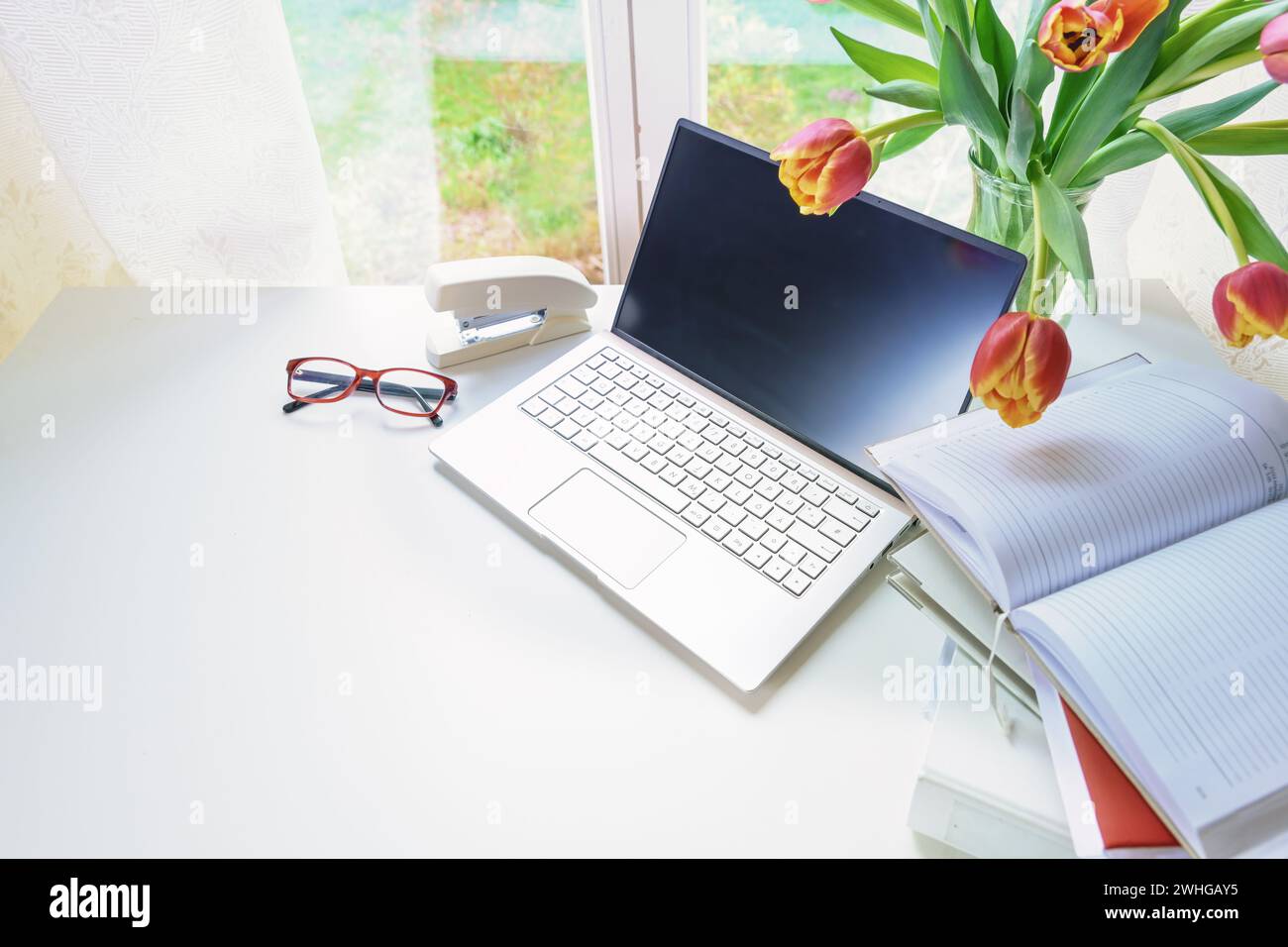 Workplace by a window with laptop, organizer, ring binder and a bouquet of red tulips on a white desk, concept for study or home Stock Photo